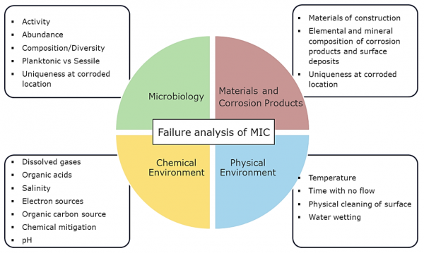 微生物影响腐蚀失效分析的框架