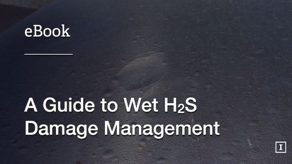 H2S湿法损伤管理指南