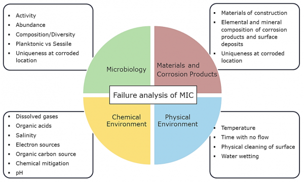 微生物影响腐蚀失效的分析框架